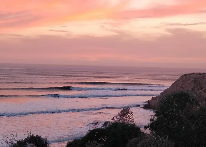 Petit Jardin Surf House