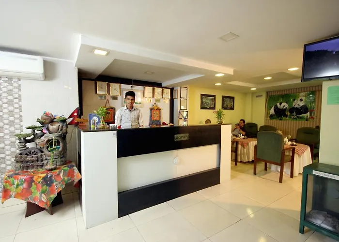 New Hotel Panda