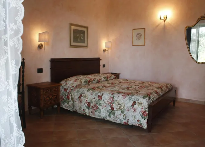 Ulivi Di Castello