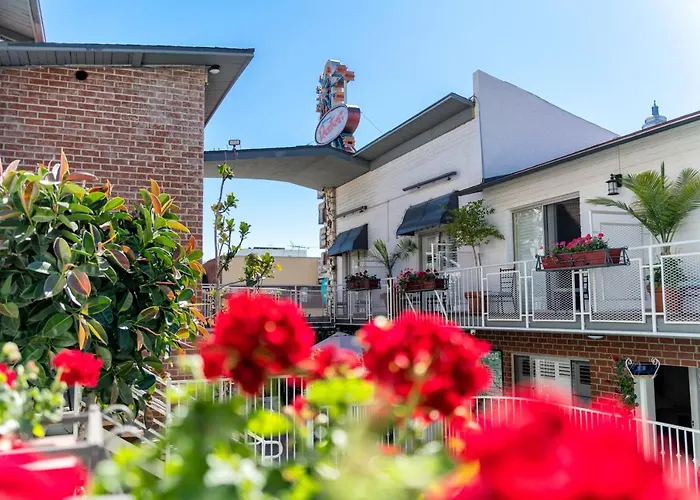 Günstiges Hotel: Hollywood Downtowner