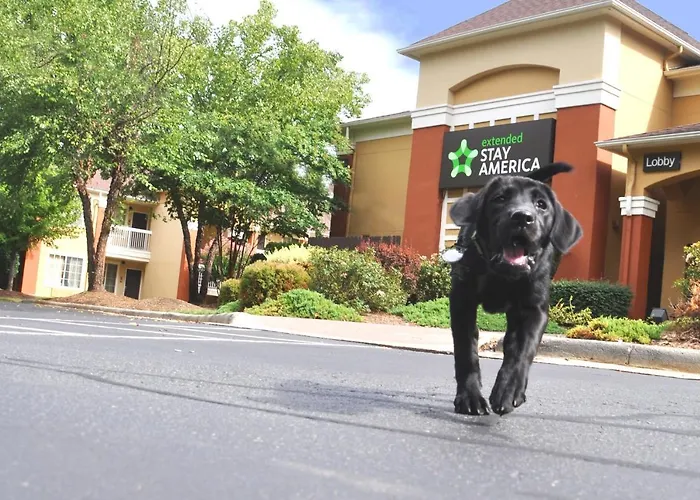 Cheap hotels Extended Stay America Suites - El Paso - Airport