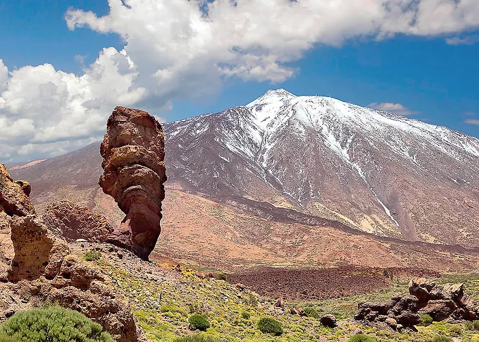 Huisdiervriendelijk hotel: Hotel Adonis Plaza