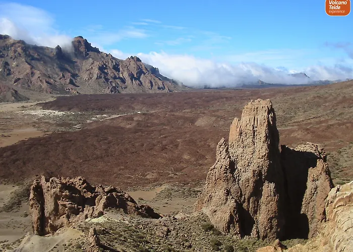 Huisdiervriendelijk hotel: Hotel Adonis Plaza