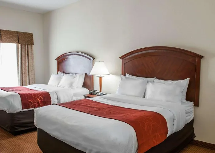 3 star hotel: Comfort Suites Near Indianapolis Airport