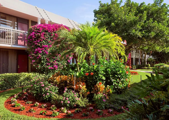 Resort: Collins Hotel Naples
