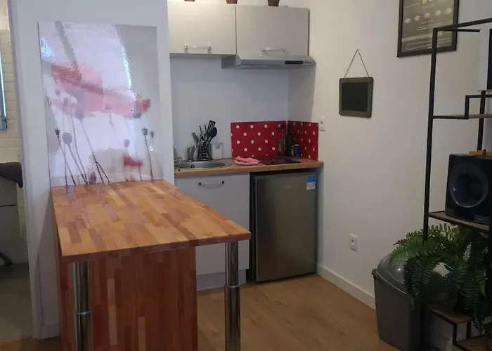 Appartement: Palais De Justice Apartment