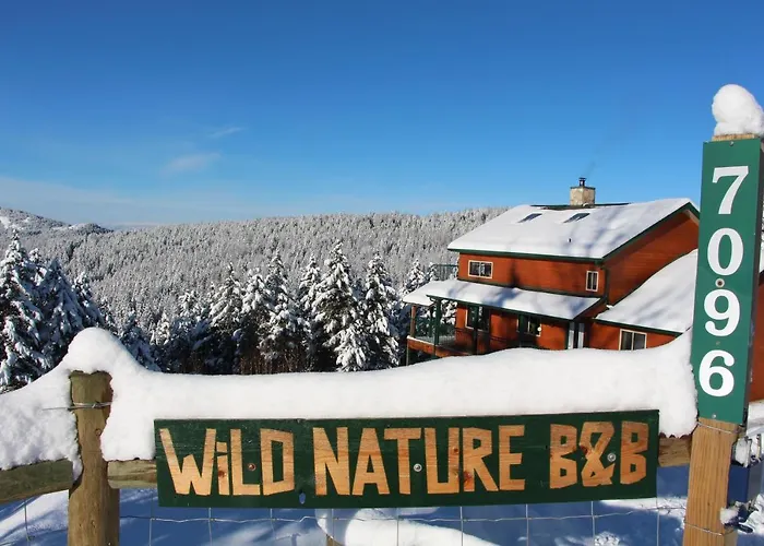 Cheap hotel: Wild Nature B&B