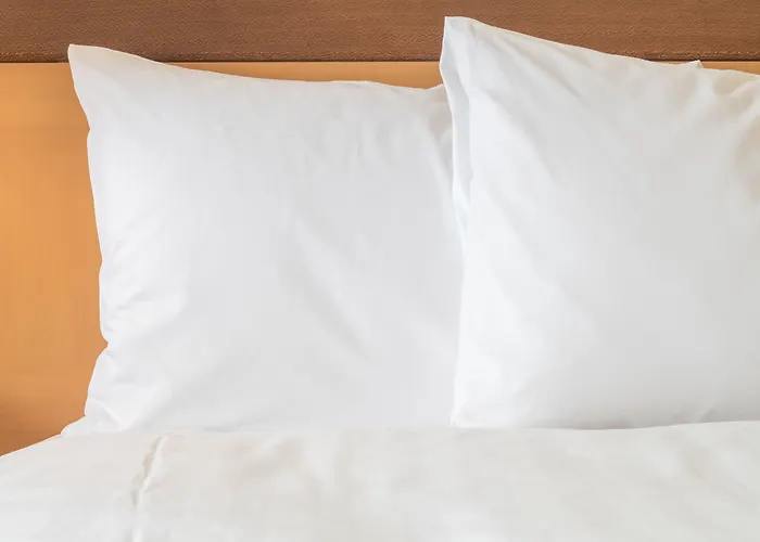 Crowne Plaza Syracuse, An Ihg