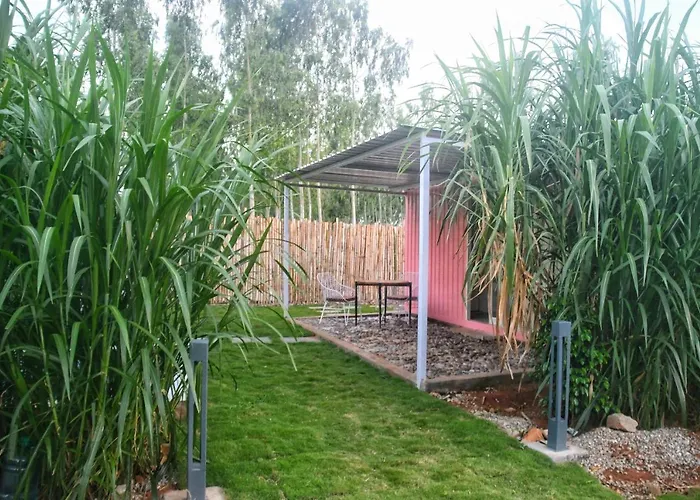 Clapping Leaves Resort