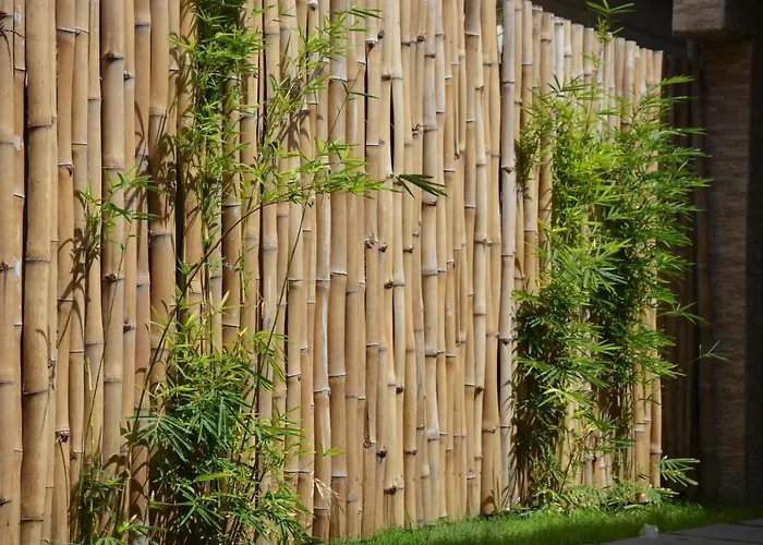 Lome Bamboo Lodge