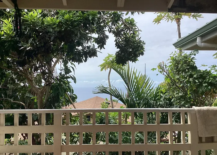 Kona Hawaii Guest House A Unique Hawaii Experience