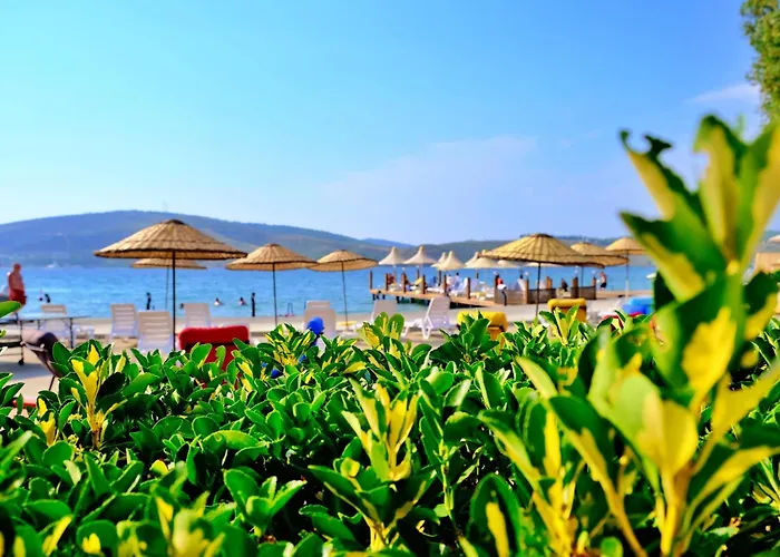 Oscar Seaside Hotel & Spa