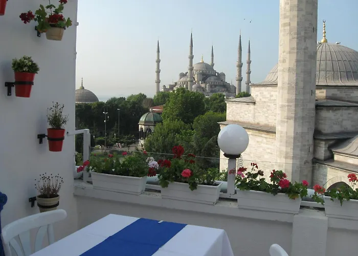 Hôtel accueillant les animaux: No20 Hotel Sultanahmet