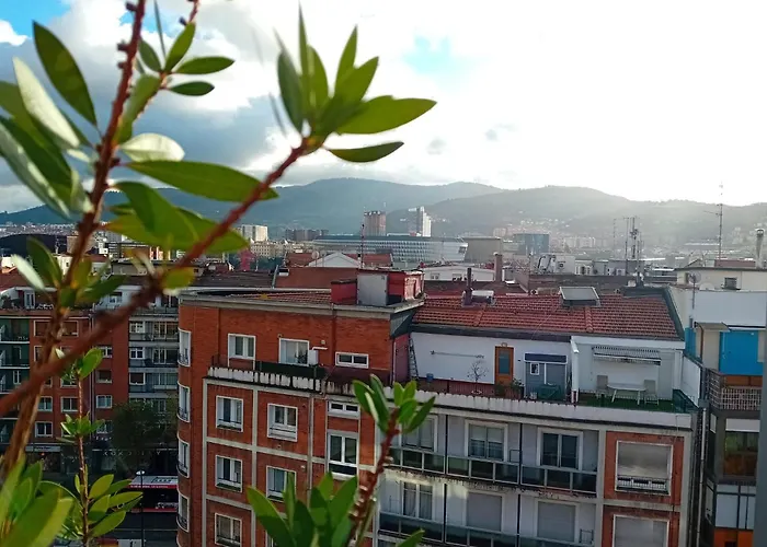 Estudio Deusto