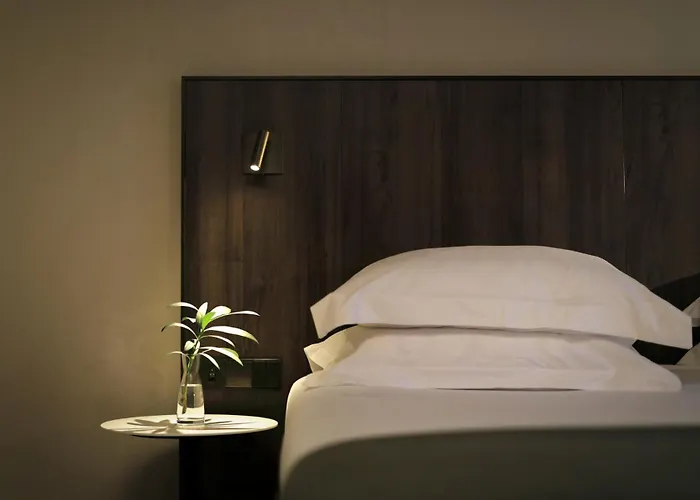 Perros hoteles Ciutat De Girona