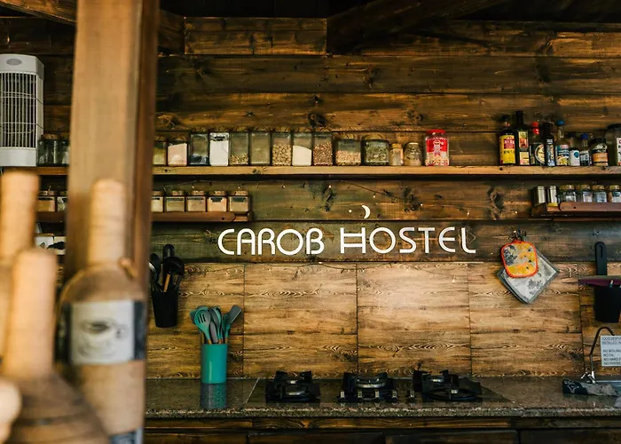 Huisdiervriendelijk hotel: Carob Hostel