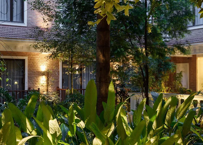 Thrive, A Tropical Courtyard