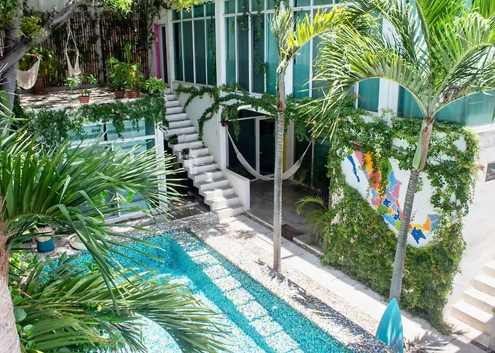 Casa Daikiri