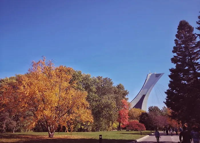 Homa Homestay Hotel By Olympic Stadium Montreal Auberge-Hostel