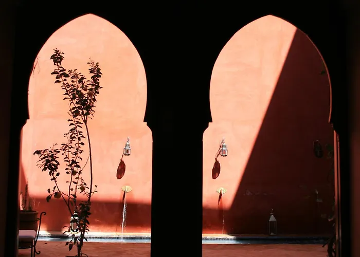 Hôtel accueillant les animaux: Riad Honey