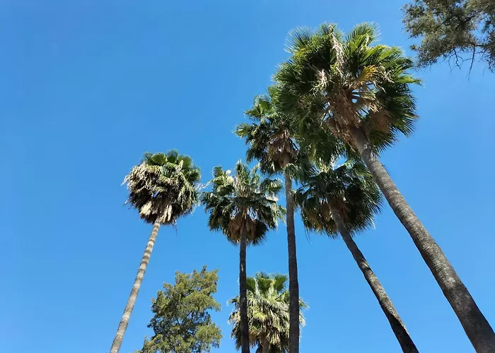 Hotel de 3 estrellas: Vas Málaga Ciudad