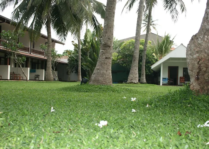 Goldi Sands