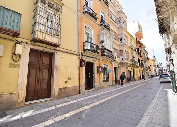 Perros hoteles Marques De La Merced