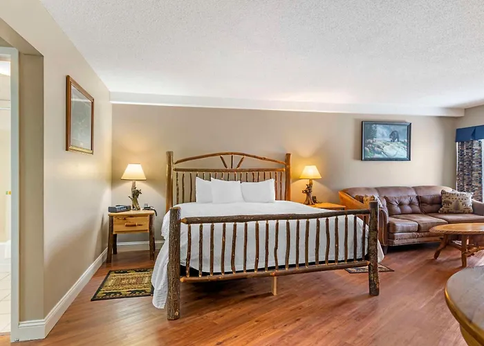 Pet Friendly hotel: Black Bear Inn, An Ascend Collection Hotel