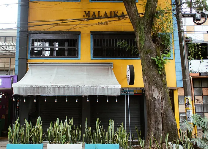Malaika Medellin