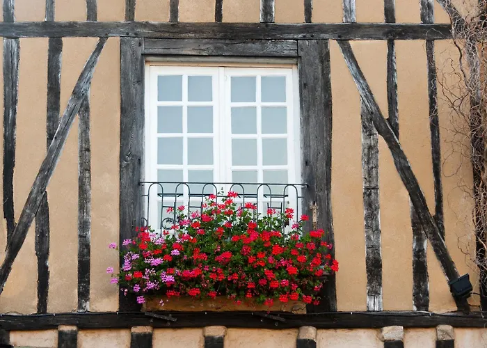 Chambres d'hôte - Maison des écrivains - 50 m de la cathédrale et place des jacobins