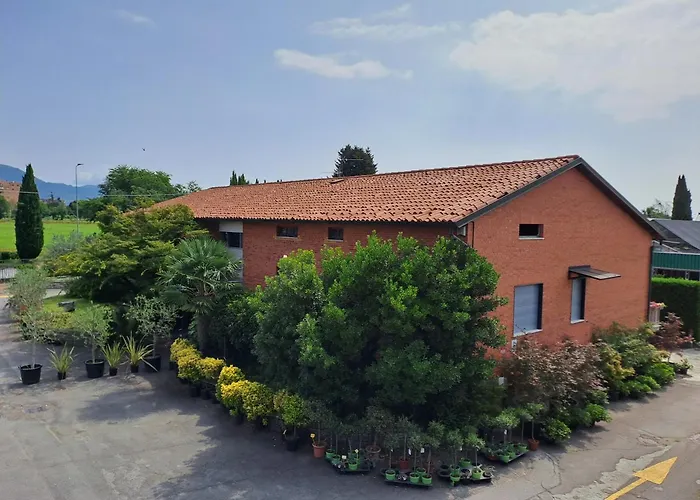 Il Vivaio