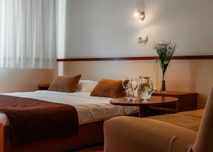 Hotel Saraj