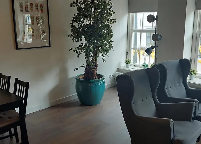 3 sterren hotel: B&B Museumkwartier Schiedam