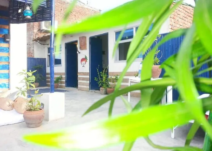 Hostel: Chalo Eco Hostel