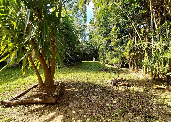 Pet Friendly hotel: Mini Pini Birdwatching And Cenote Loft4 You Only