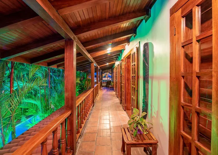 Pet Friendly hotel: Hotel Villas Lirio