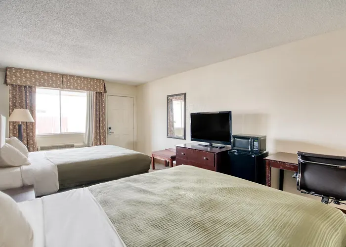 Oyo Hotel Alexandria La- Hwy 165