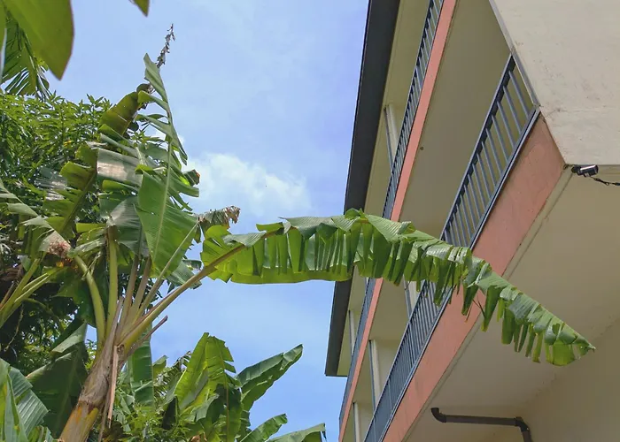 Hotels With Four Stars Garden Palace Downtown Koror