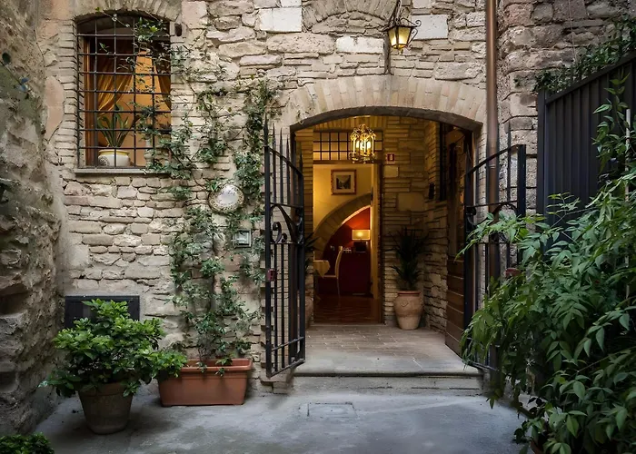 Hotel con vista: Hotel Lieto Soggiorno