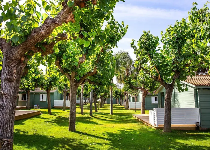 Hotel de playa: Camping La Llosa