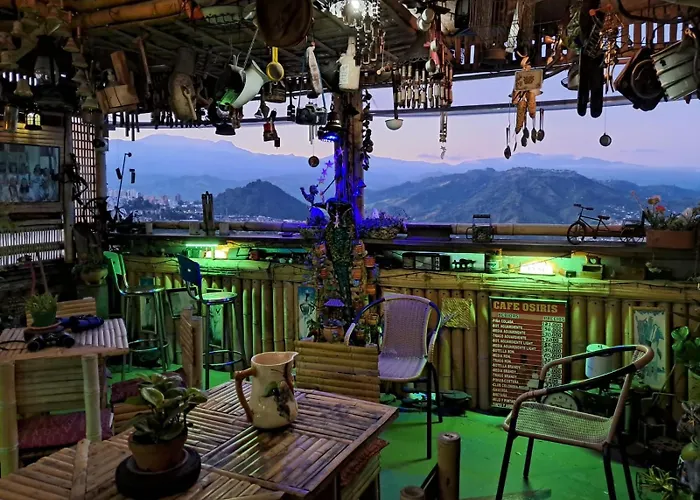 Mirador Andino