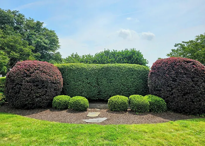 Golf hotels Doubletree By Hilton Norfolk Airport
