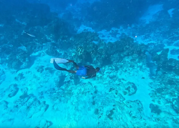 Resorts Guide Explorean Cozumel All Inclusive