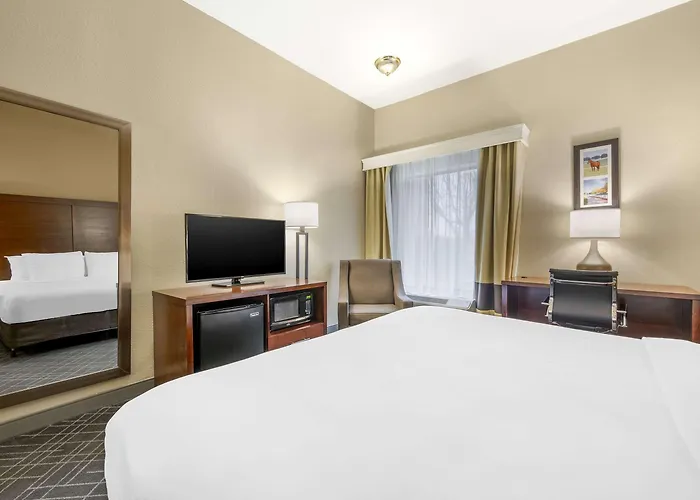 Comfort Inn Airport Turfway Road