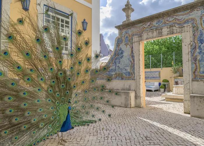 Logement: Solar Do Castelo - Lisbon Heritage Collection - Alfama