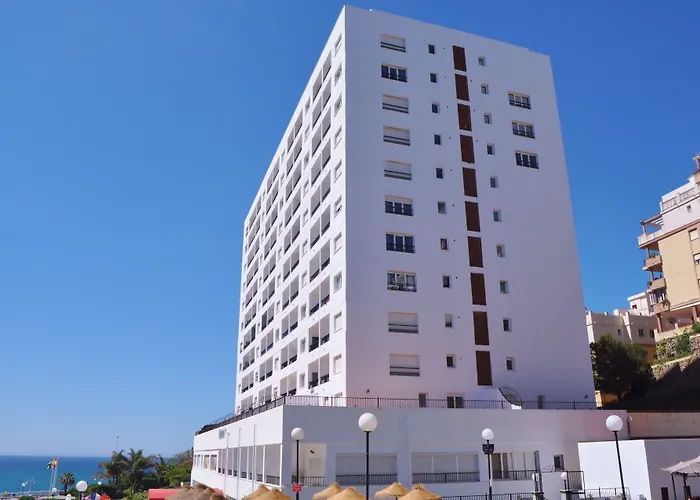 Dog friendly hotels First Flatotel International