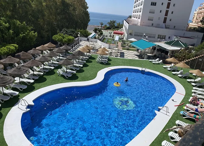 Dog friendly hotels First Flatotel International