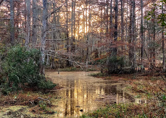 Guest house: The Blue60 Marigny Inn