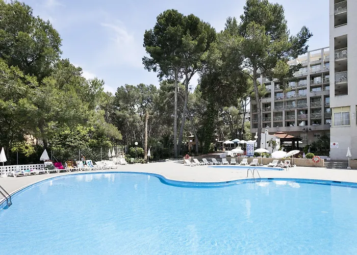 Hotel de 3 estrelas: Hotel Best Mediterraneo