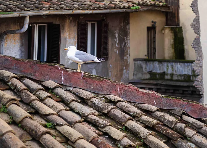 Hotel familiare: Casa De' Fiori